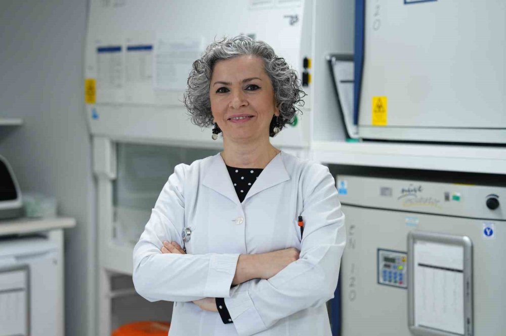 Sağlık hizmetlerinin bel kemiği laboratuvarlar