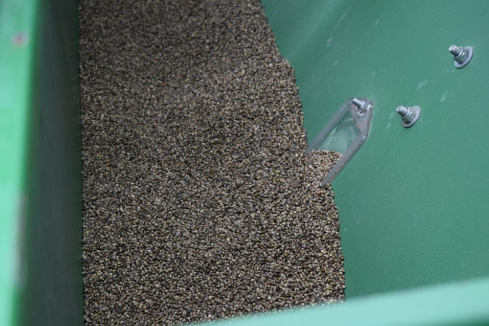 Tahıl ambarı Konya, kenevirin de başkenti olacak