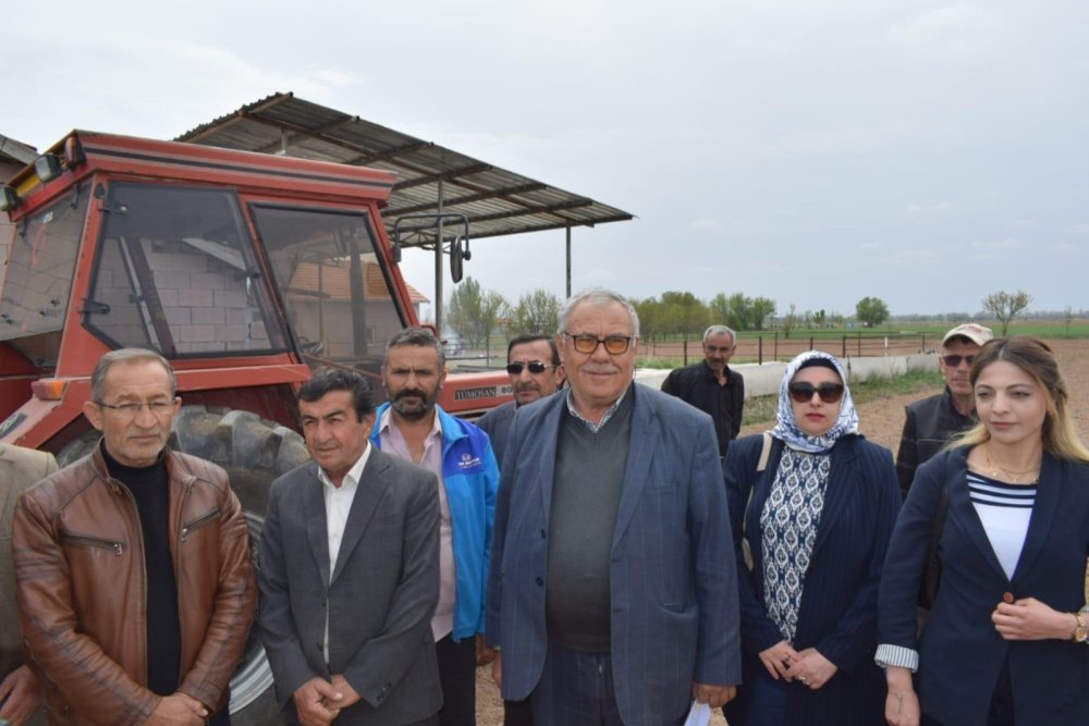 Tahıl ambarı Konya, kenevirin de başkenti olacak