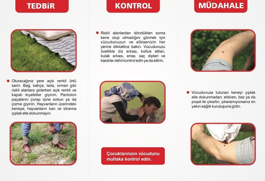 Konya'da kene alarmı: İlkbaharla birlikte KKKA uyarısı!