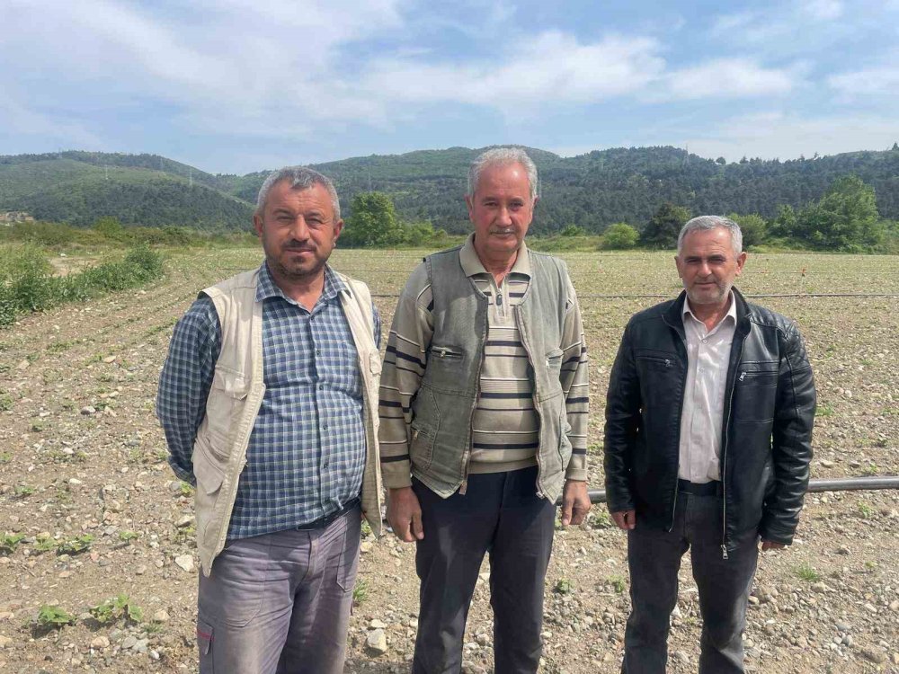 Kuruyan göl havzasında tarım yapan çiftçilere DSİ'den tahliye uyarısı