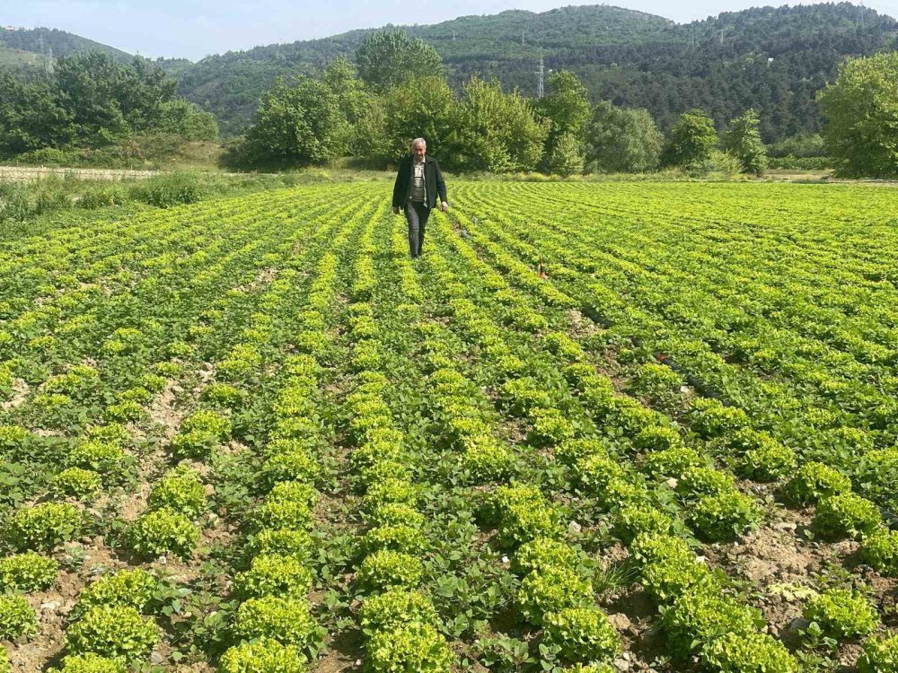 Kuruyan göl havzasında tarım yapan çiftçilere DSİ'den tahliye uyarısı