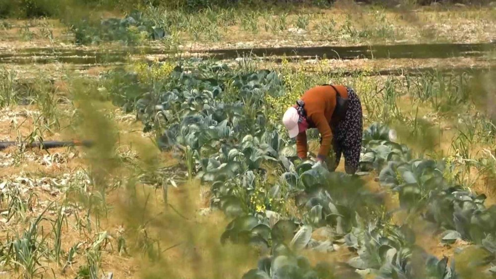 'Devlet tarım arazilerine el koyacak' iddiasına açıklama