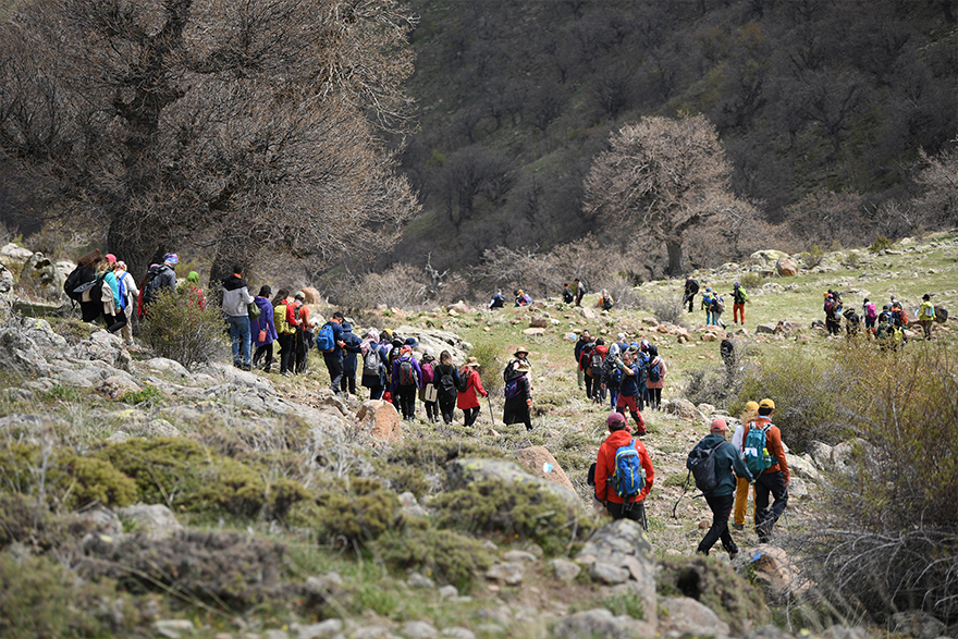 konya-yuruyus-yolu-2.jpg