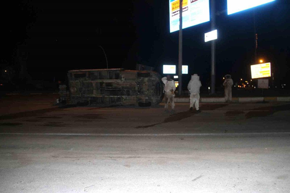 Kazada etrafa saçılan arılar polisleri soktu