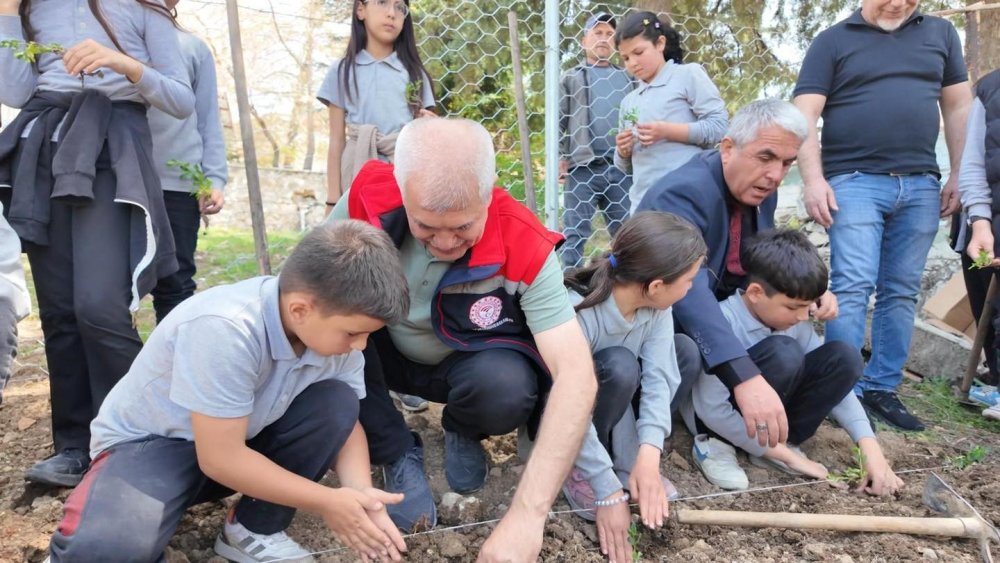 Tıbbi aromatik bitkiler bu bahçede yetişecek