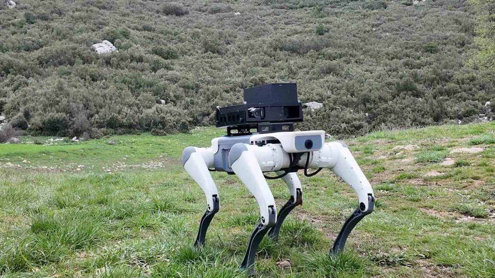 Bars’tan AyBARS’a: Hafif ve çevik yeni nesil robot köpek