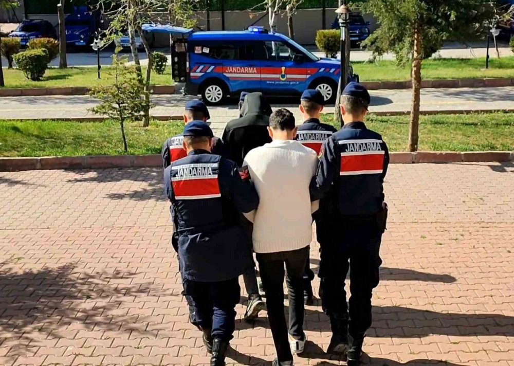 Bazadaki uyuşturucuyu patisiyle işaret etti