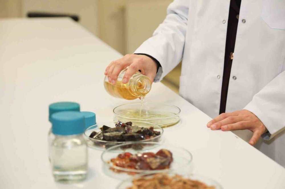 Plastik Ambalaja Yerli ve Doğal Alternatif