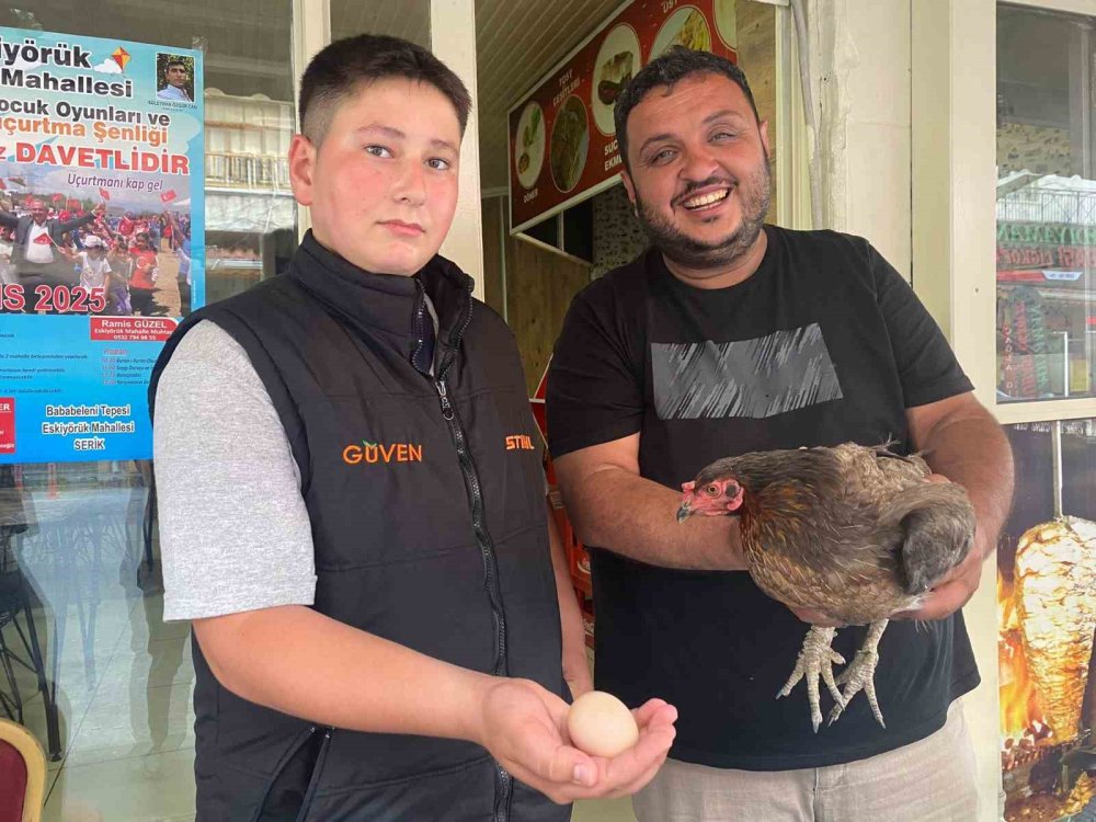 Tavuk Cesaretiyle Şaşırttı: Dönerciye Girip Yumurtladı