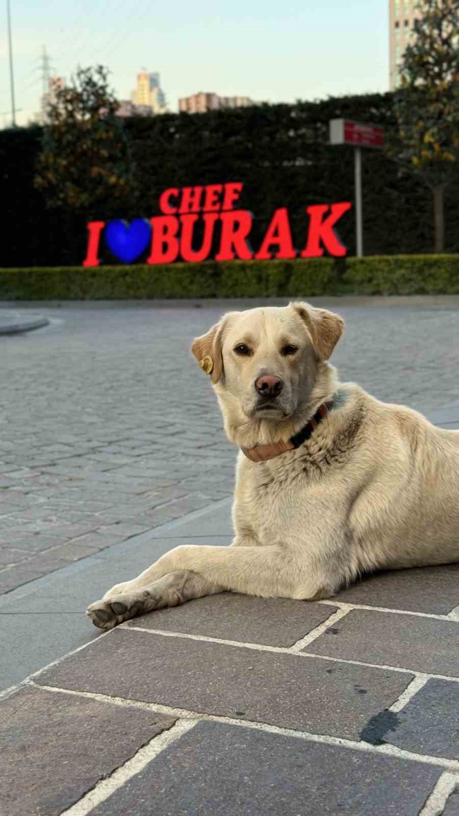 Herkes bankada hırsız var sandı: Gerçek manzara güldürdü