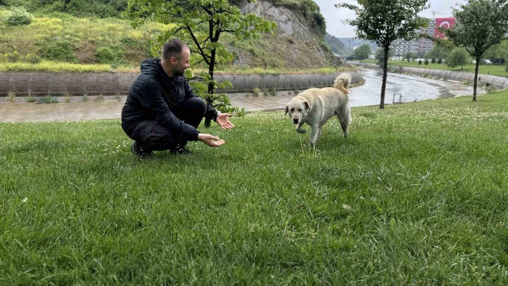 Herkes bankada hırsız var sandı: Gerçek manzara güldürdü