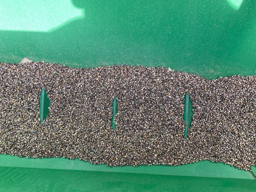 Kulu'da Kenevir Dönemi Başladı