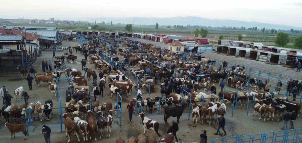 Afyonkarahisar’da kurban fiyatları can sıkıp cep yakıyor