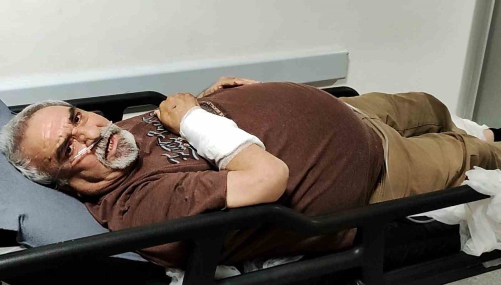 Başıboş köpekler parkta yürüyüş yaparken yakaladı