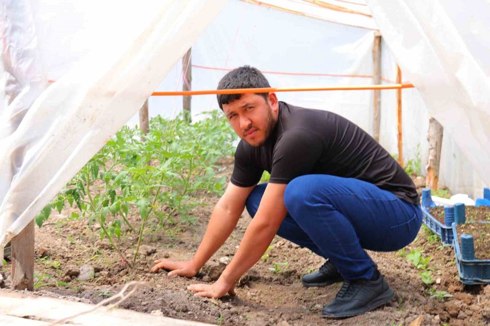 Cevizi de don vurunca çiftçiler rotayı değiştirdi