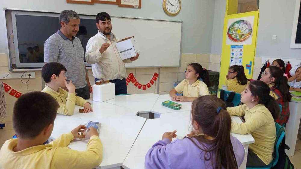 Ekosistemin kahramanları arılar, miniklere anlatıldı