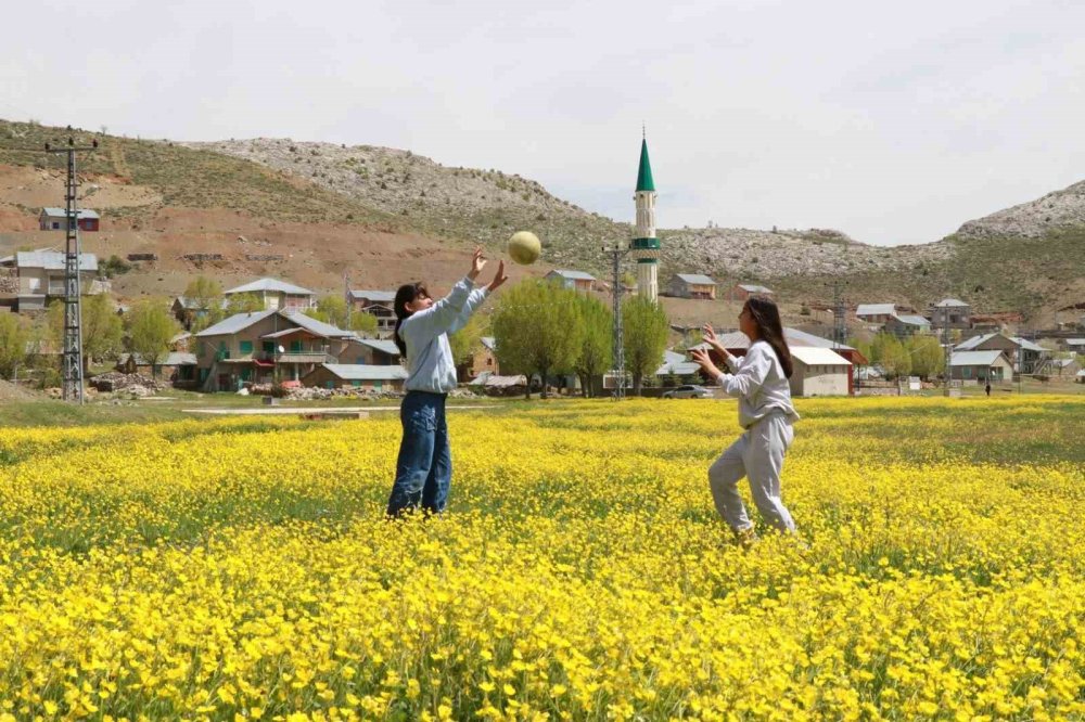 Hisarlık Yaylası'nda düğün çiçekleri görsel şölen sunuyor