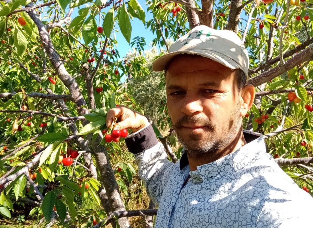 Konya'da don üzdü, Manisa’da fiyatlar güldürdü