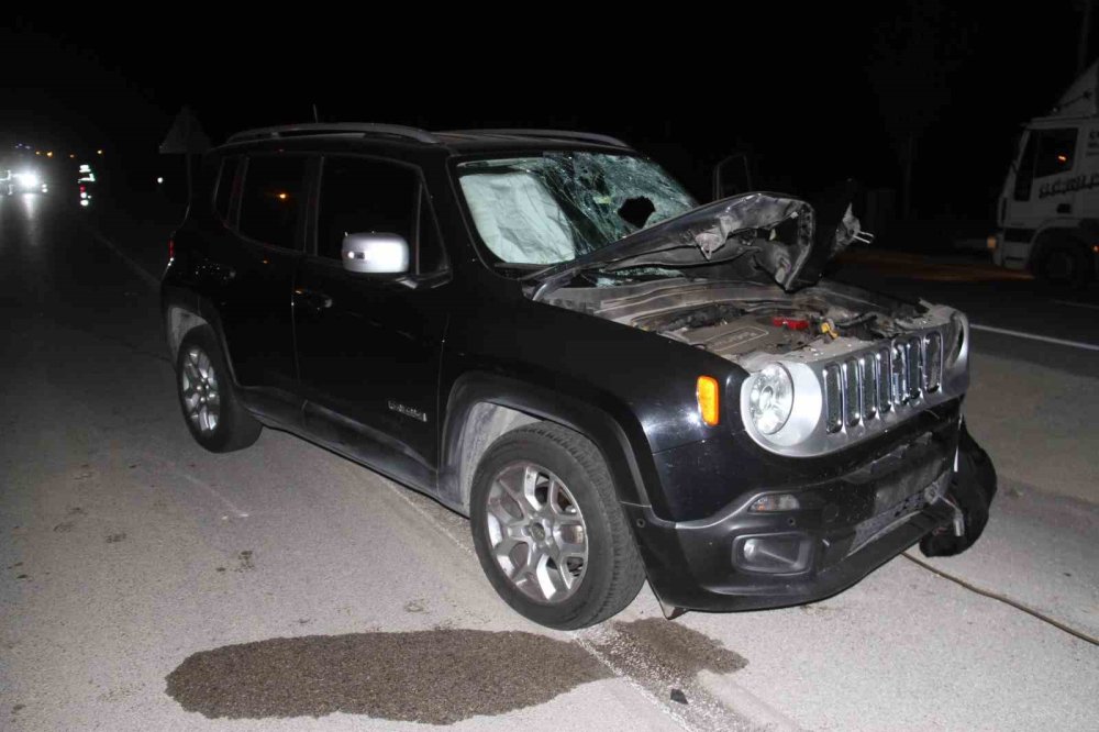 Yolun karşısına geçmeye çalışırken can verdi