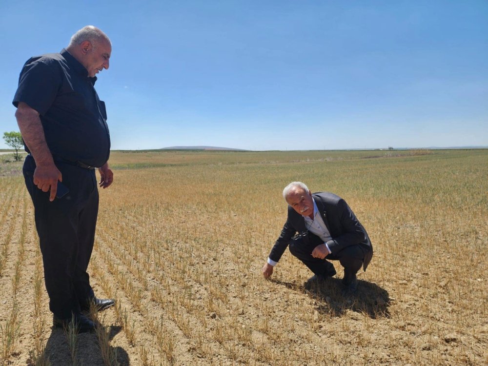Konya'da arazi kıraçlaştı: Biçerdöver bile giremiyor