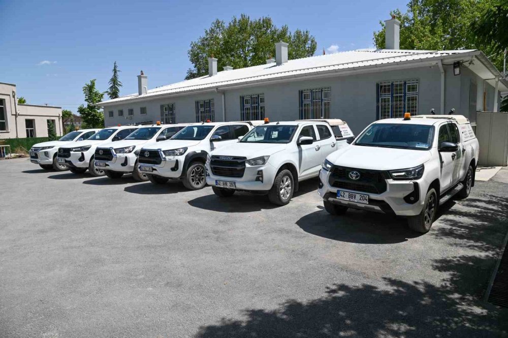 Sıcaklarla Birlikte Geldiler, Selçuklu Belediyesi Harekete Geçti
