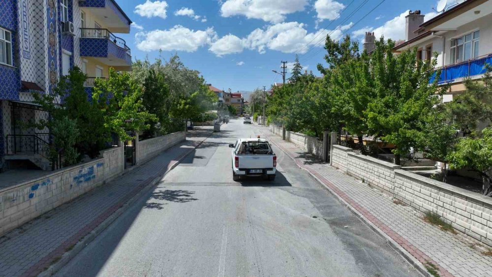 Sıcaklarla Birlikte Geldiler, Selçuklu Belediyesi Harekete Geçti