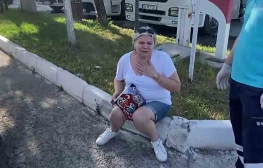 Tırla çarpışan kadın sürücü şoka girdi, sonra kedisine su verdi