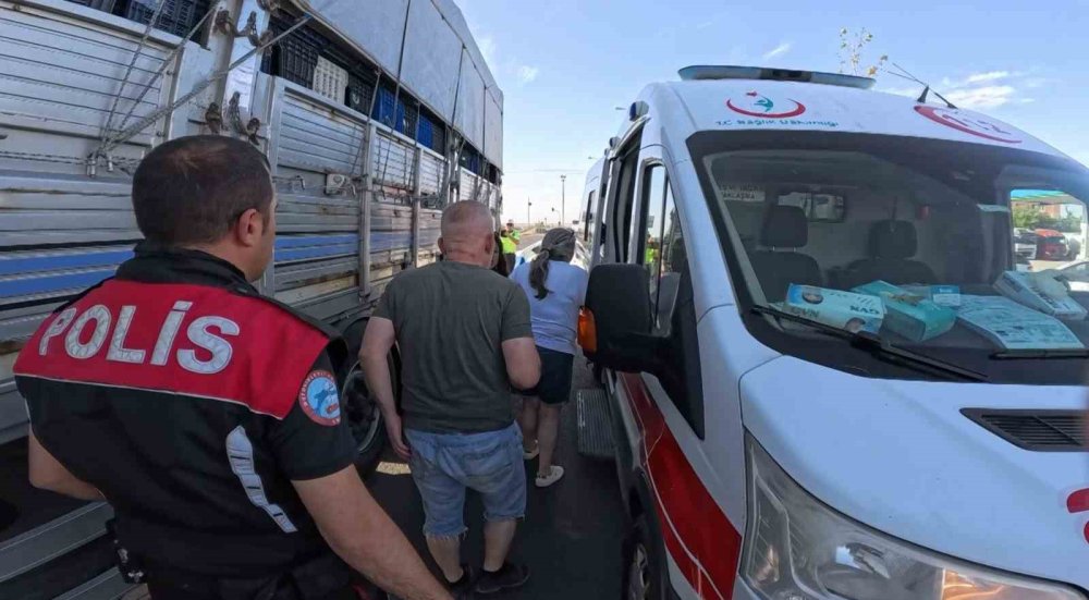 Tırla çarpışan kadın sürücü şoka girdi, sonra kedisine su verdi