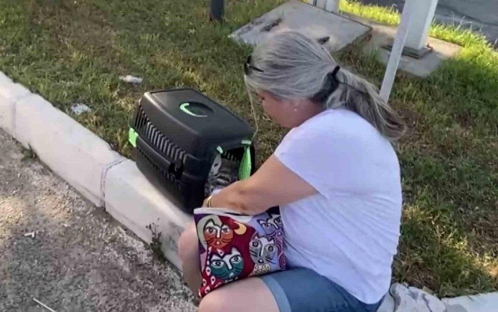 Tırla çarpışan kadın sürücü şoka girdi, sonra kedisine su verdi