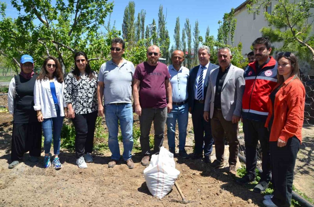 ​​​​​​​Salep üretimi yaygınlaşıyor