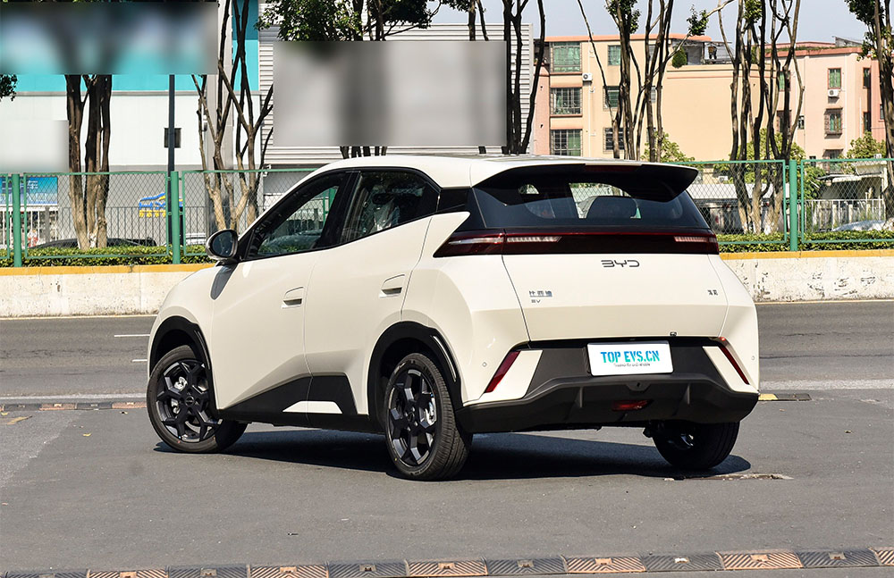 byd-5.jpg