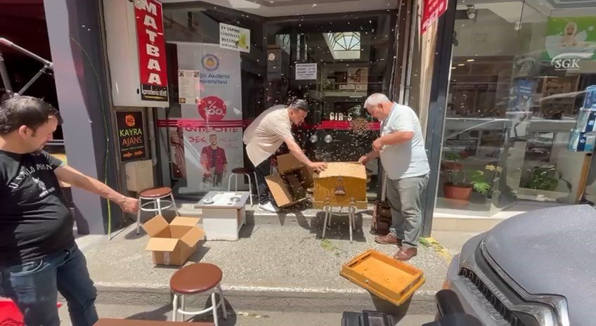 İş merkezini binlerce arı bastı