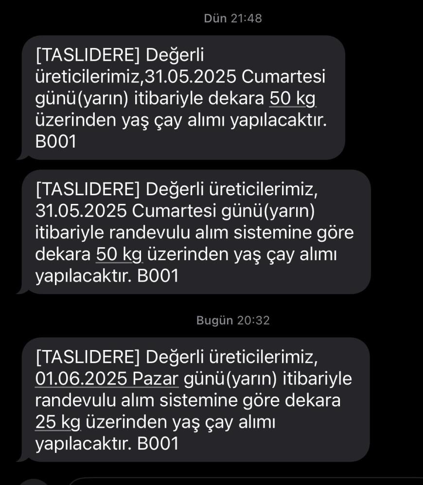cay-kotasi.jpg