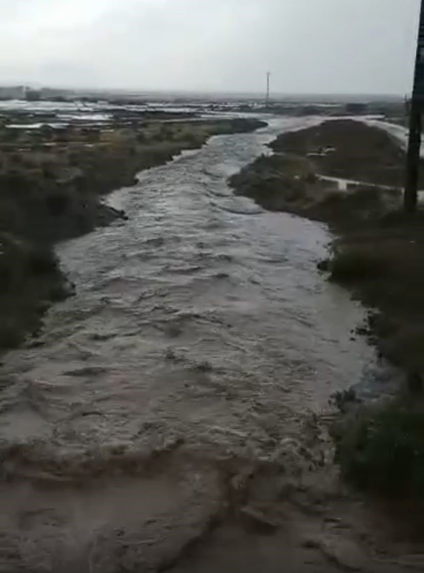 Konya'ya yağmur yağdı tarlalar sular altında kaldı