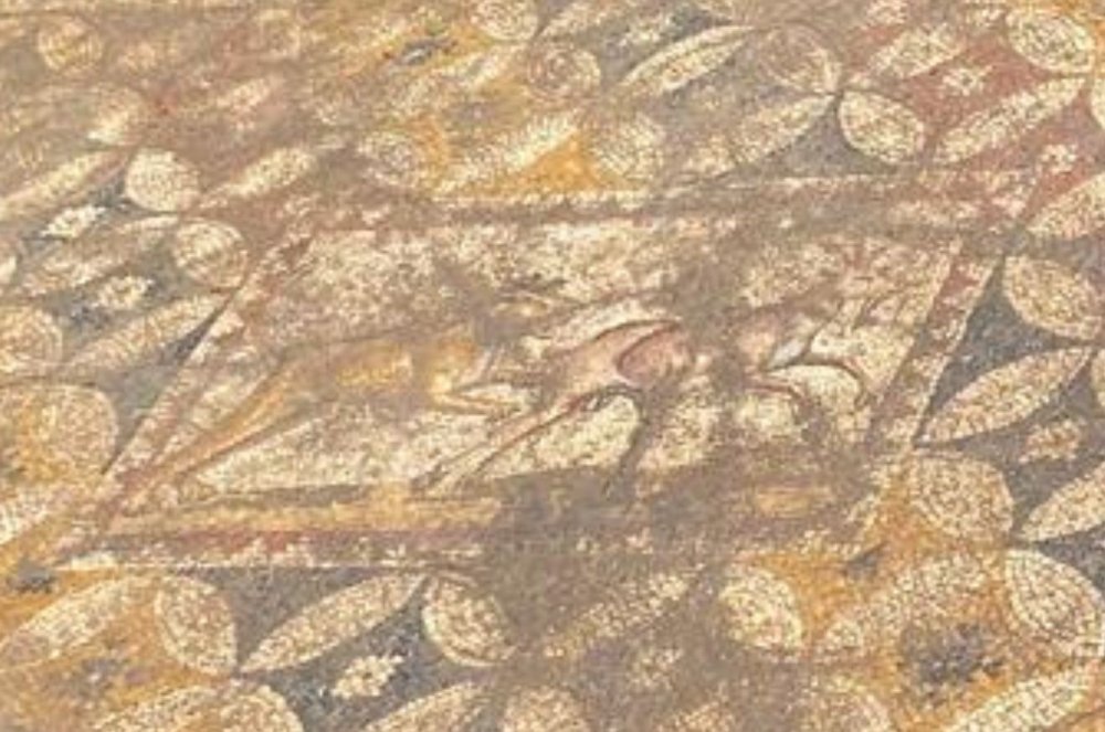 2500 Yıllık Mozaik Gün Yüzüne Çıktı: Kraliçe Nicea'nın Sarayı mı?