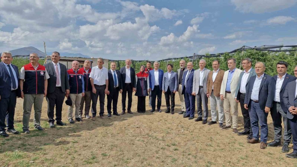 Zirai Don Komisyonu Elma Bahçelerini İnceledi