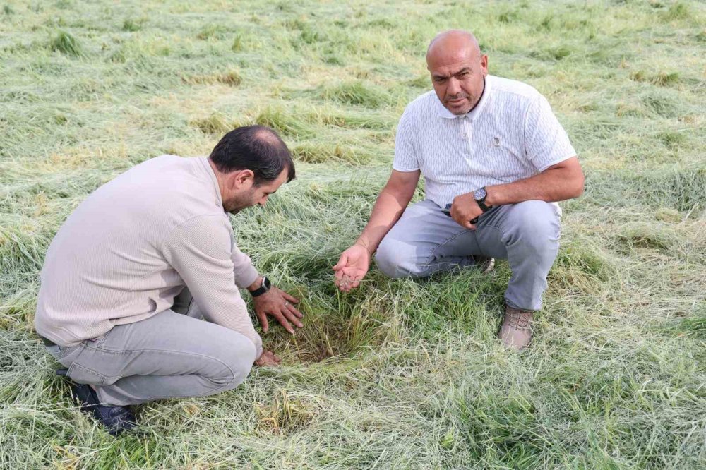 TZOB Başkanı Bayraktar: Afetlerin Şiddeti Artıyor, Tarım Ciddi Tehdit Altında