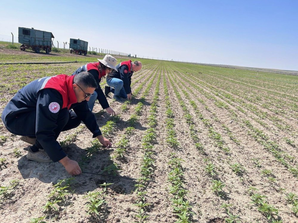 Konya'nın kurtuluşu ona bağlı! Ekipler milim milim ölçtü
