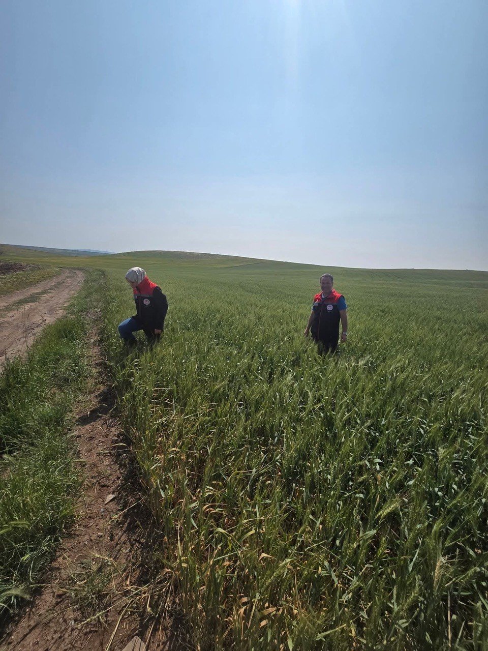 Süne yoğunluğu takip altında