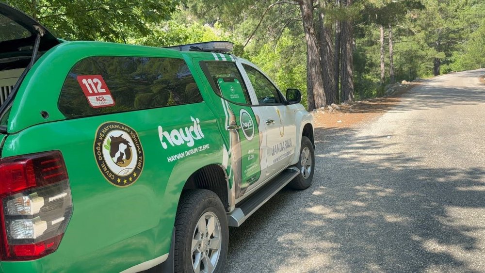 Gazipaşa'da kaybolan Hüseyin Amca'yı 300 kişi arıyor