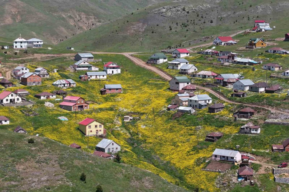 Gümüşhane’nin saklı cennetlerini dünyaya tanıtıyor
