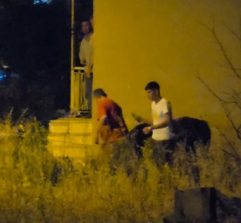 Konya'da ortalığı birbirine kattı