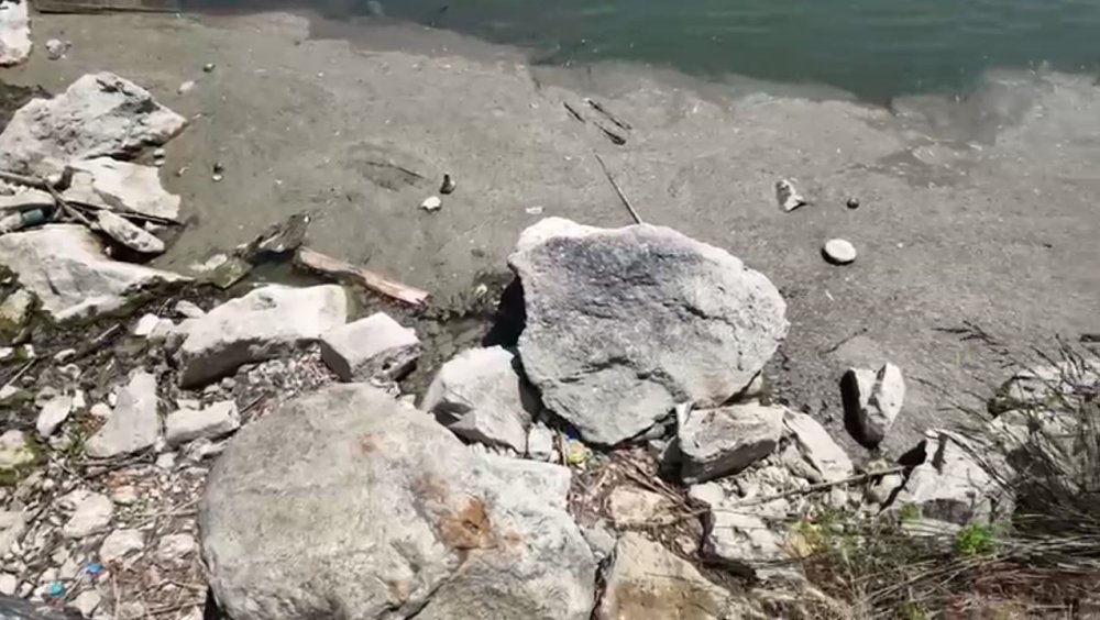 Koca park göz göre göre yok edildi