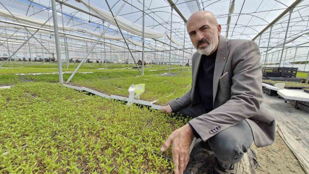 Emekli teknisyen bölgenin en büyük serasını kurdu