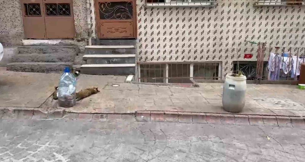 Sokaklara konulan “park yapılmaz” levhaları hukuka aykırı