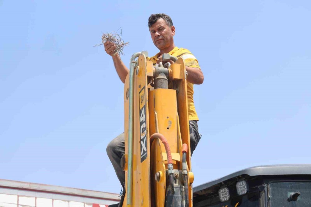 Yuva bozulmasın diye 27 gün iş makinesini çalıştırmadı