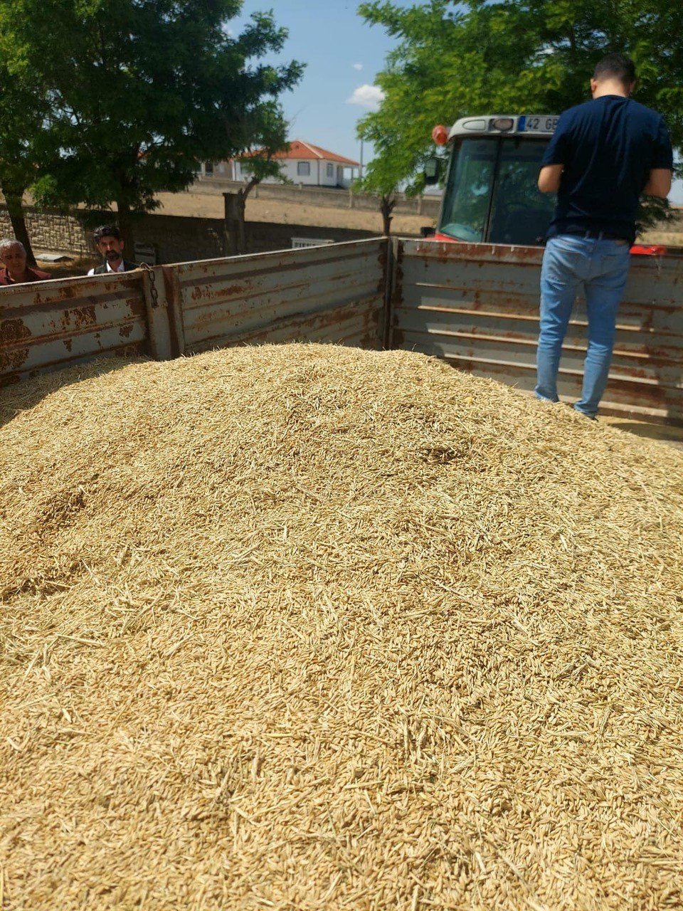 Hububat ne boy verdi ne de ürün!