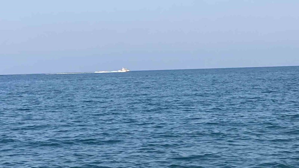 Köpekbalığı tedirginliği: Kıyıda görülen karartı korkuttu