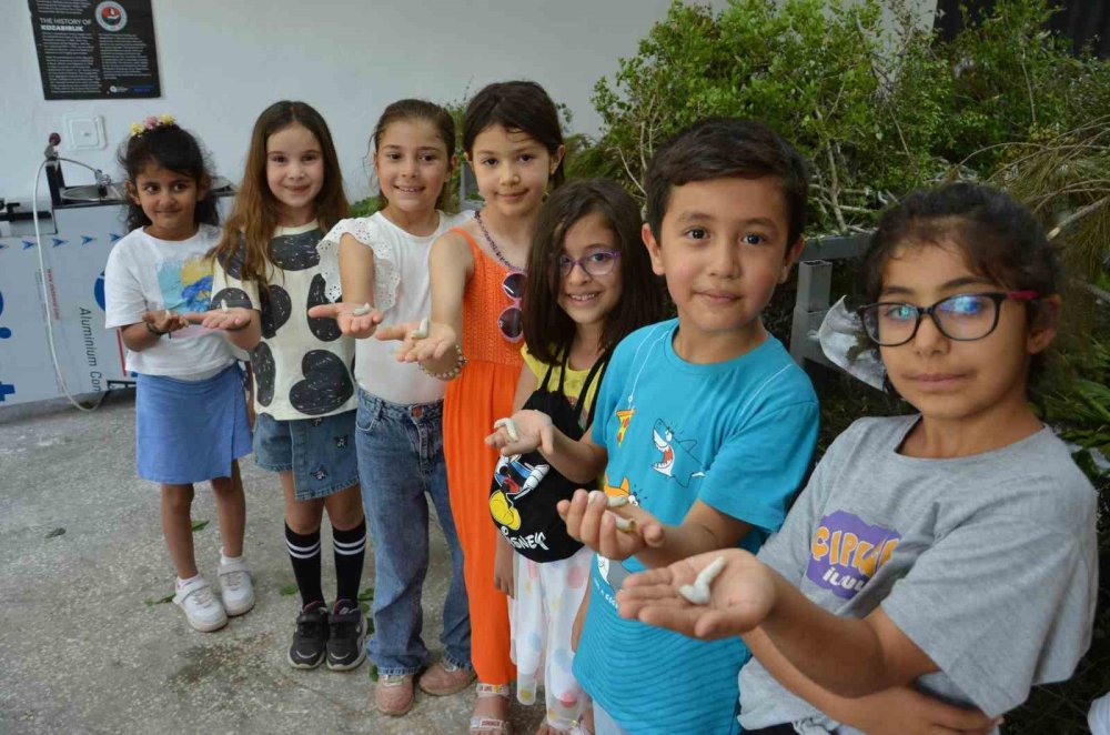 İpekböcekçiliği çocuklarla geri dönüyor